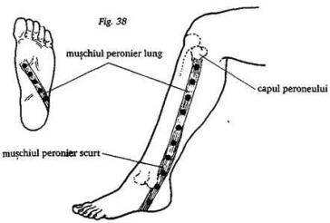 Durerea de picioare - Simptome, cauze si tratament - Cum să tratezi articulațiile gambei